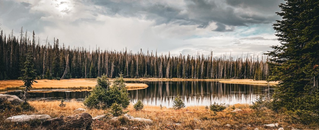 The Mental Benefits of Fly Fishing: Finding Peace on the&nbsp;Water