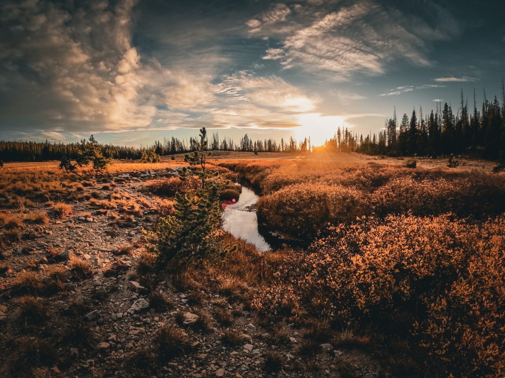 Between Snowmelt and Sunsets: The Magic of June Fly Fishing in&nbsp;Colorado