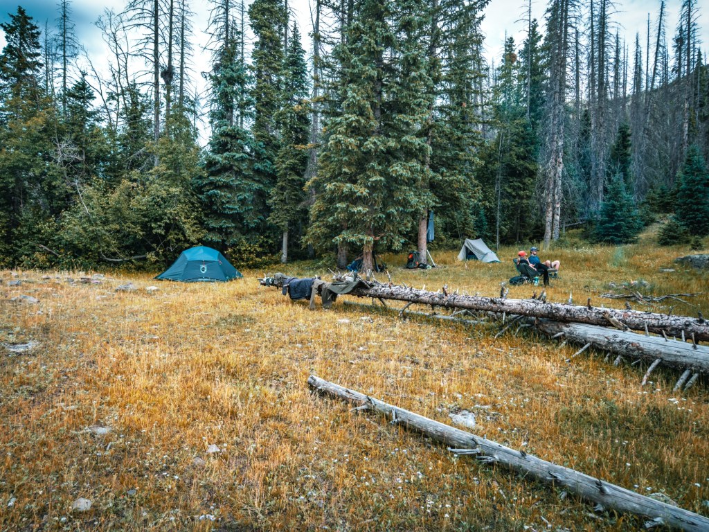 Backcountry Meals That Actually Taste Good — Quick Tips + Favorites from Elk&nbsp;Creek